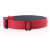 Personalised Reflective Nylon Dog Collar – Laser Engraved Buckle, Neoprene Padded.