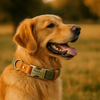 Personalised Hemp & Leather Dog Collar – Laser Engraved Buckle, Double-Layer Hemp Webbing