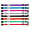 Personalised Dog Collar – Laser Engraved Buckle | Reflective & Padded Durable ID