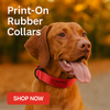 Personalised Dog Collar – Printed ID Patch | Reflective Deluxe Padded