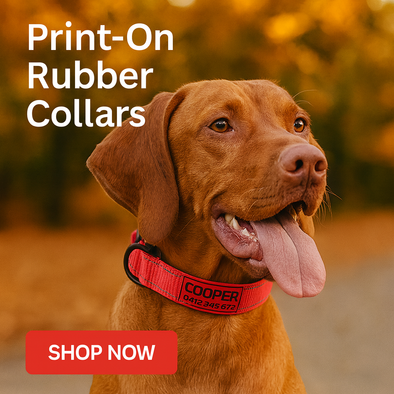 Personalised Dog Collar – Printed ID Patch | Reflective Deluxe Padded