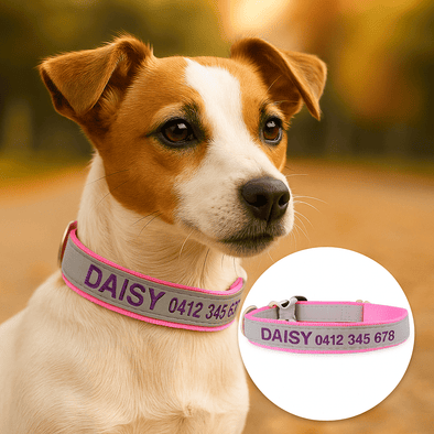 Personalised Dog Collar – High Reflective Nylon | Embroidered Safety ID