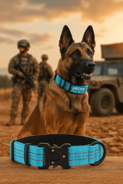 Personalised Tactical Dog Collar – Printed ID Patch with Leather Handle | Reflective Heavy-Duty