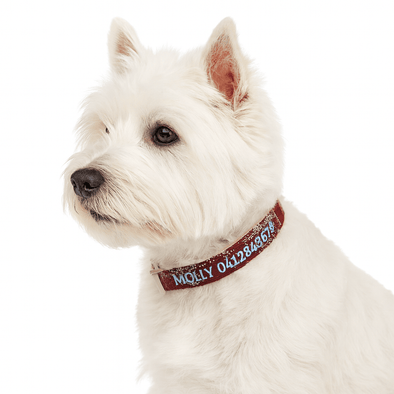 Personalised Dog Collar – Embroidered Hemp | Eco-Friendly with Plastic Buckle