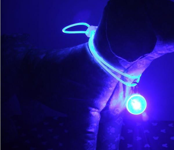 Pet Safety Light LED