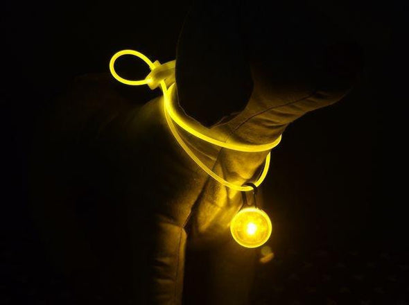 Pet Safety Light - LED Yellow