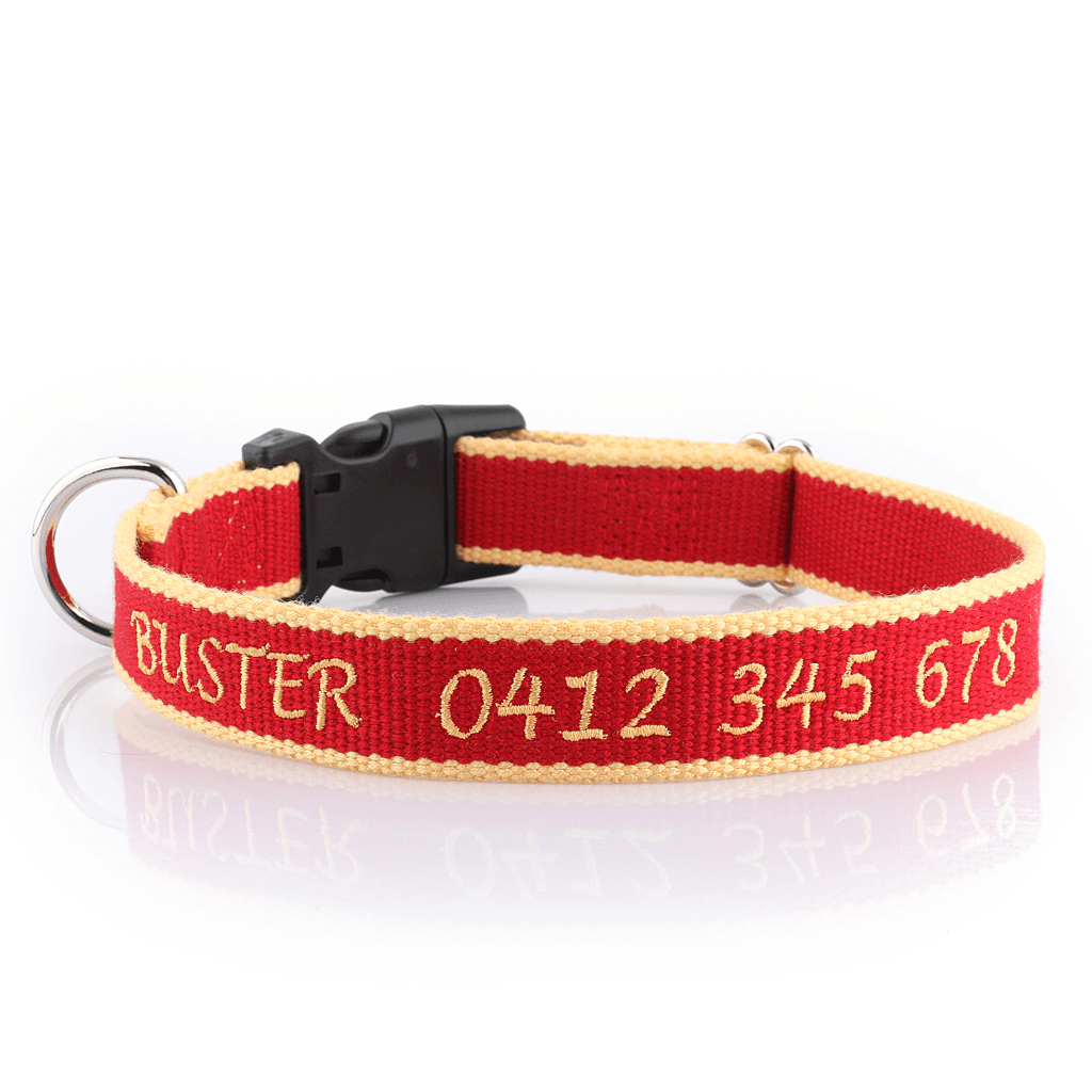 Buster gear dog collars outlet