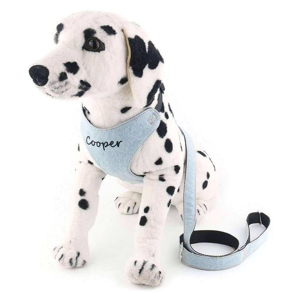 Dog Harness Custom Pet Collars