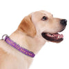 (NEW DESIGN) Super Premium - Nylon & Padded Neoprene with Safety Reflection Strips Dog Collars