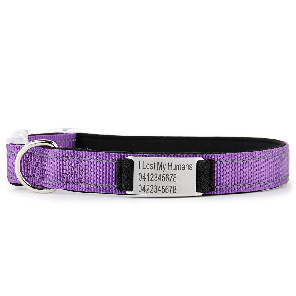 Laser Engraved Custom Pet Collars