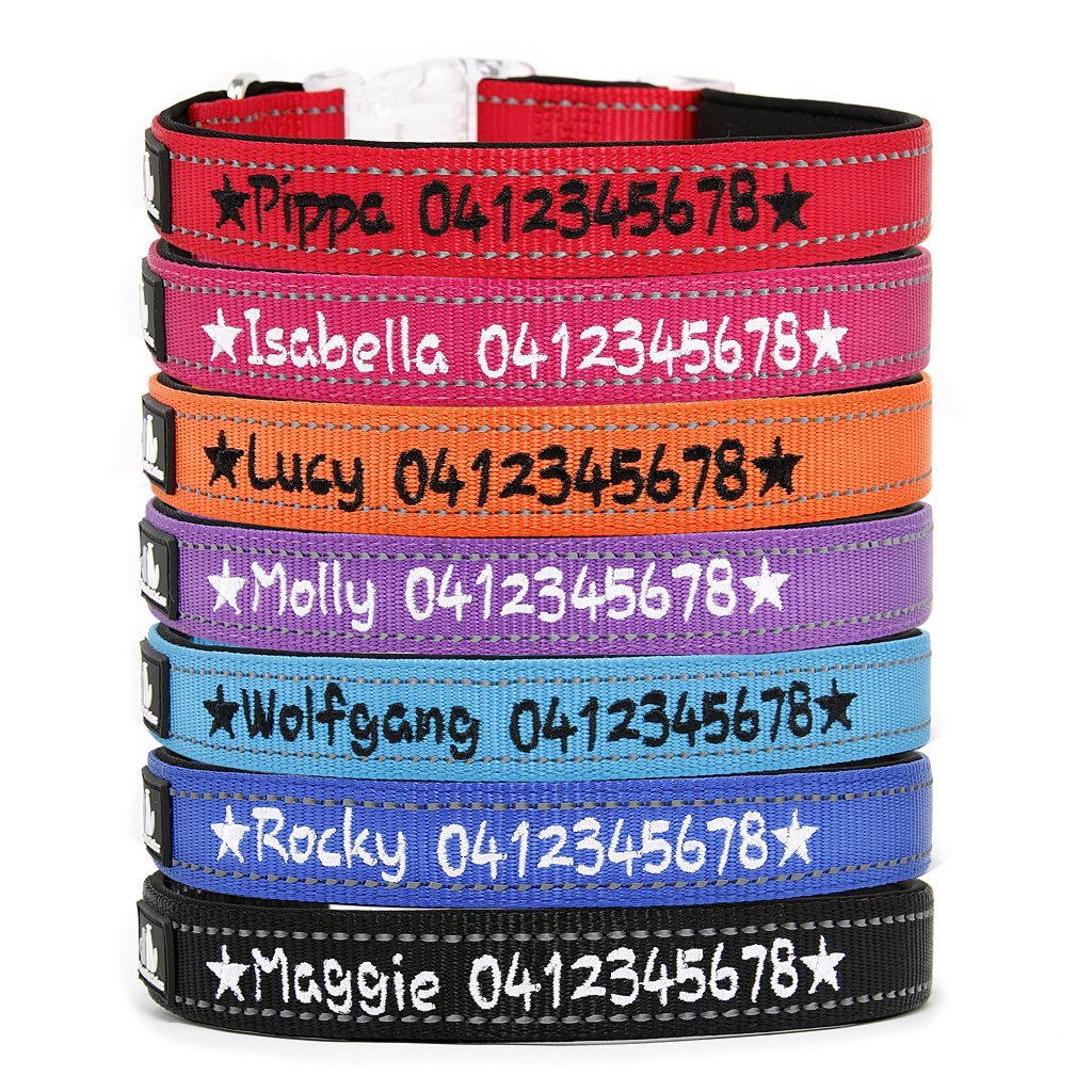 personalised dog collars afterpay