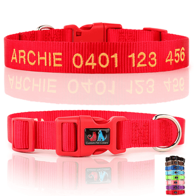 Personalised Dog Collar – Embroidered Nylon | Classic Everyday with Plastic Buckle
