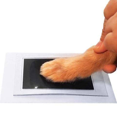  MYPAWLETS-Extra Large Inkless Paw Print Stamp Pad for Dog &Paw  Print Frame,Cat Dog Paw Print Kit,2 Clean Touch Ink Pads,Pet Paw Print  Impression Kit with Wooden Frame,Personalized Paw Print Gift-Black 