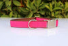 Personalised Collar - Laser Engraved, Metal Buckle, Nylon and Coloured Ribbon