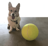 Giant Tennis Ball Toy for Pets 9.5" (24cm)