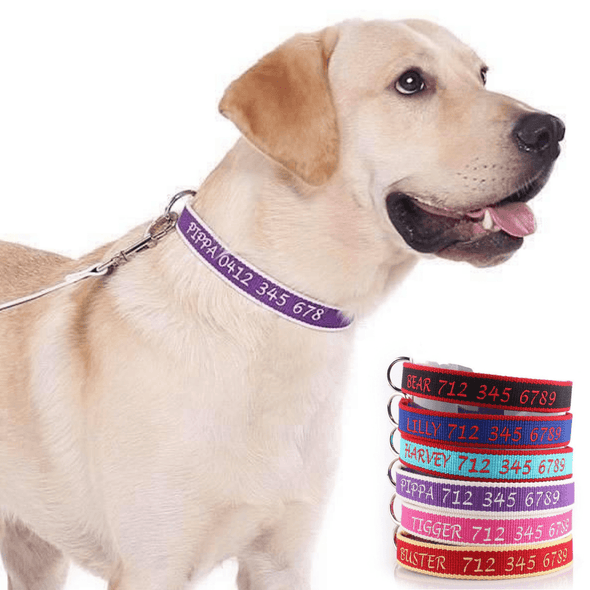 Embroidered Organic Bamboo - Personalised Dog Collar: CHOICE of METAL or PLASTIC BUCKLE