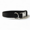 Personalised Collar - Laser Engraved, Metal Buckle, Nylon and Coloured Ribbon